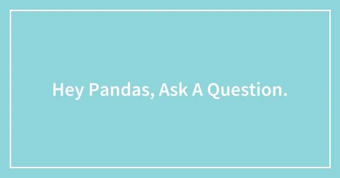 Hey Pandas, Ask A Question.