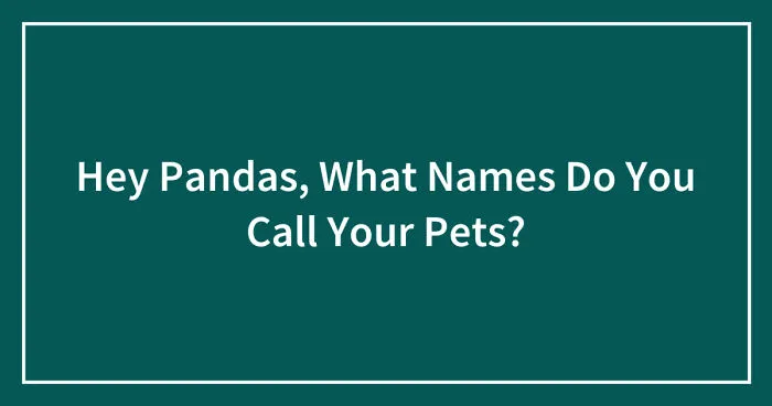 Hey Pandas, What Names Do You Call Your Pets? (Closed)