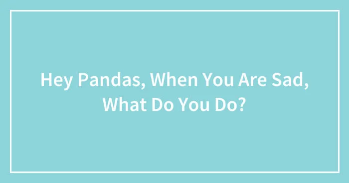 Hey Pandas, When You Are Sad, What Do You Do? (Closed)