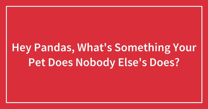 Hey Pandas, What's Something Your Pet Does Nobody Else's Does? (Closed)