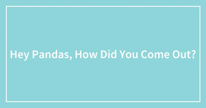 Hey Pandas, How Did You Come Out? (Closed)