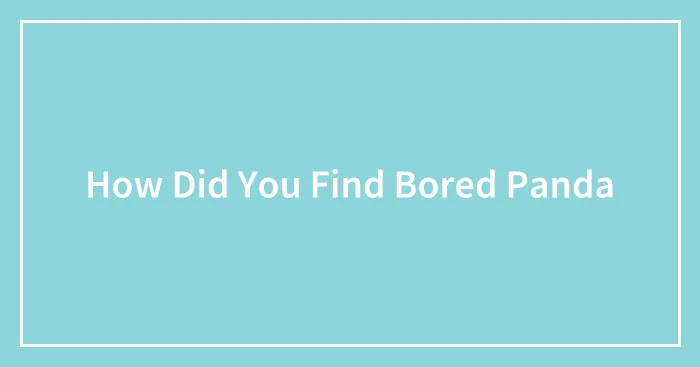 How Did You Find Bored Panda