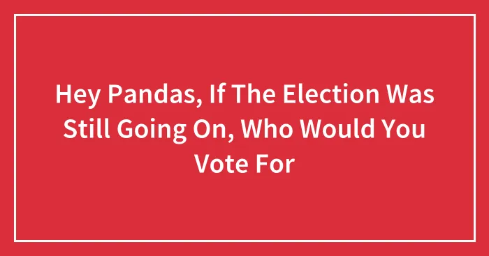Hey Pandas, If The Election Was Still Going On, Who Would You Vote For