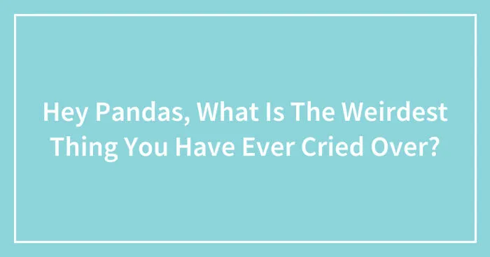 Hey Pandas, What Is The Weirdest Thing You Have Ever Cried Over? (Closed)