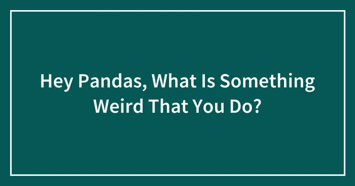 Hey Pandas, What Is Something Weird That You Do? (Closed)