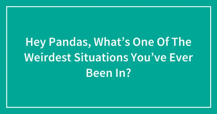 Hey Pandas, What’s One Of The Weirdest Situations You’ve Ever Been In? (Closed)
