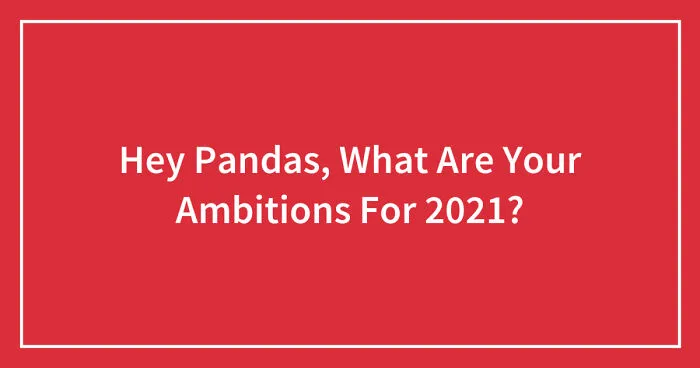 Hey Pandas, What Are Your Ambitions For 2021?