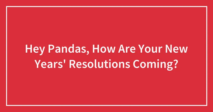 Hey Pandas, How Are Your New Years' Resolutions Coming? (Closed)