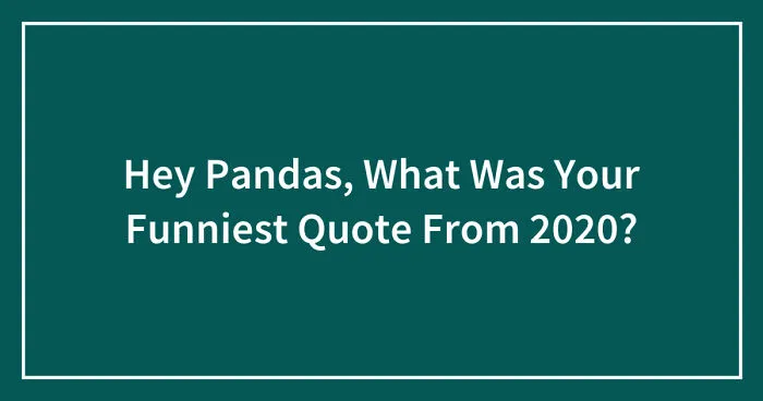 Hey Pandas, What Was Your Funniest Quote From 2020? (Closed)