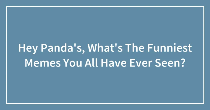 Hey Panda's, What's The Funniest Memes You All Have Ever Seen?