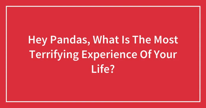 Hey Pandas, What Is The Most Terrifying Experience Of Your Life? (Closed)