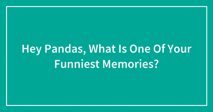 Hey Pandas, What Is One Of Your Funniest Memories? (Closed)