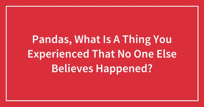 Pandas, What Is A Thing You Experienced That No One Else Believes Happened? (Closed)