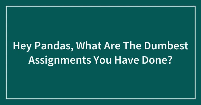 Hey Pandas, What Are The Dumbest Assignments You Have Done? (Closed)