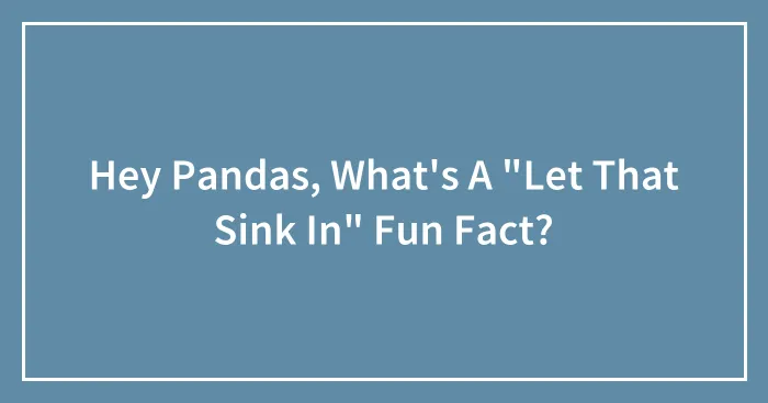 Hey Pandas, What's A "Let That Sink In" Fun Fact? (Closed)