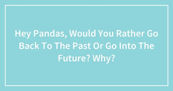 Hey Pandas, Would You Rather Go Back To The Past Or Go Into The Future? Why? (Closed)