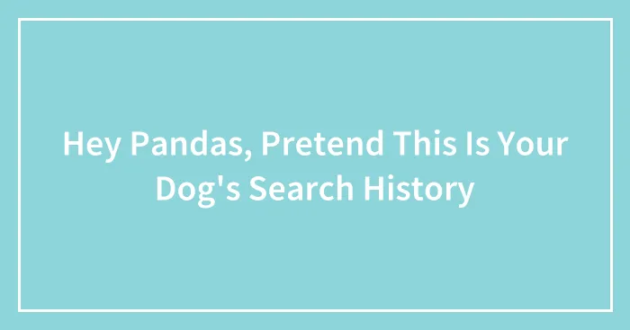 Hey Pandas, Pretend This Is Your Dog's Search History (Closed)