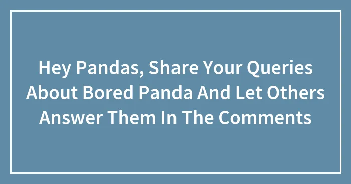 Hey Pandas, Share Your Queries About Bored Panda And Let Others Answer Them In The Comments (Closed)