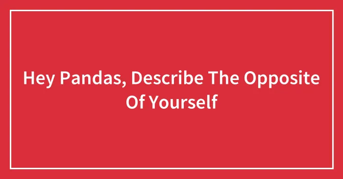 Hey Pandas, Describe The Opposite Of Yourself (Closed)