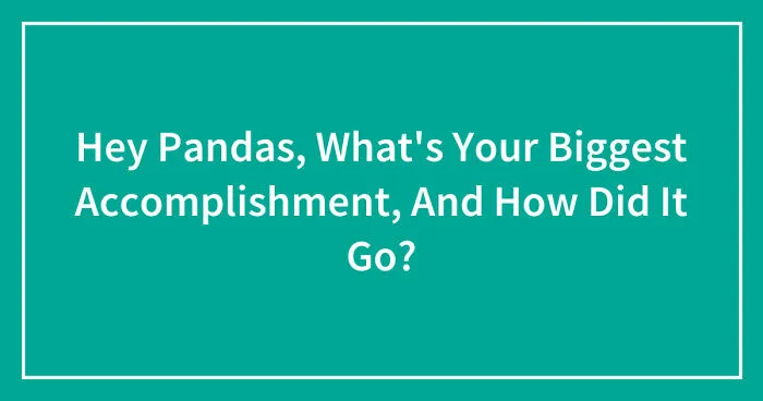 Hey Pandas, What's Your Biggest Accomplishment, And How Did It Go? (Closed)