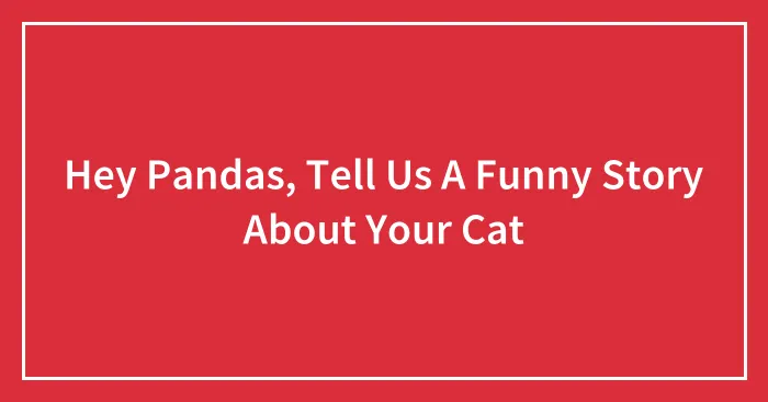 Hey Pandas, Tell Us A Funny Story About Your Cat (Closed)
