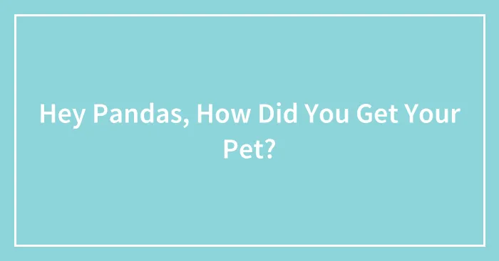 Hey Pandas, How Did You Get Your Pet? (Closed)