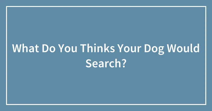 What Do You Thinks Your Dog Would Search?