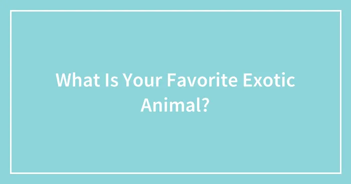 What Is Your Favorite Exotic Animal?