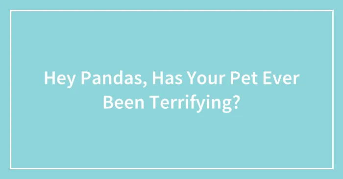 Hey Pandas, Has Your Pet Ever Been Terrifying? (Closed)