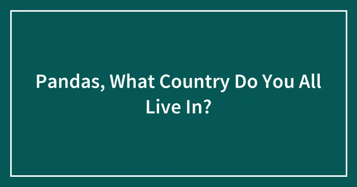 Pandas, What Country Do You All Live In? (Closed)