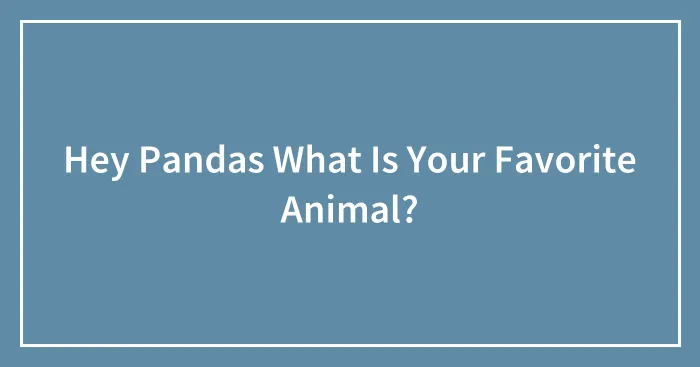 Hey Pandas What Is Your Favorite Animal?