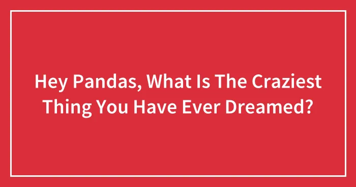 Hey Pandas, What Is The Craziest Thing You Have Ever Dreamed? (Closed)