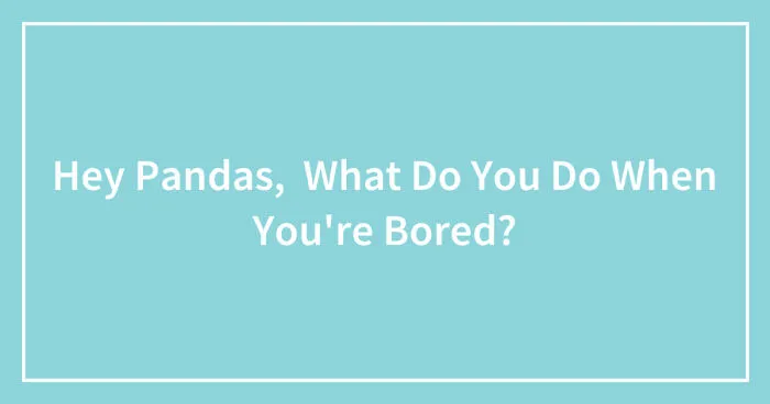Hey Pandas, What Do You Do When You're Bored? (Closed)
