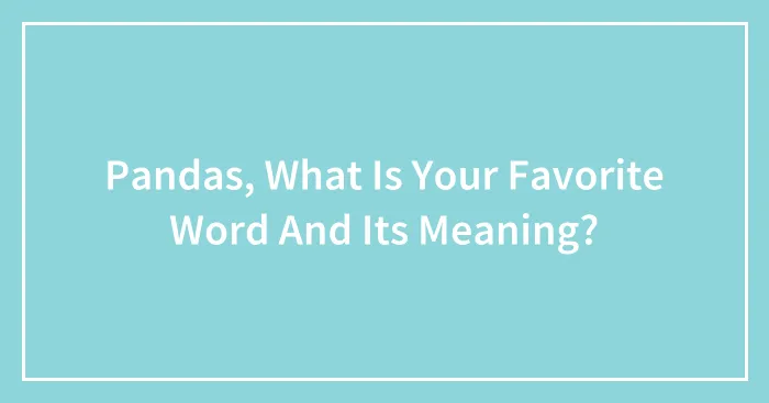 Pandas, What Is Your Favorite Word And Its Meaning? (Closed)