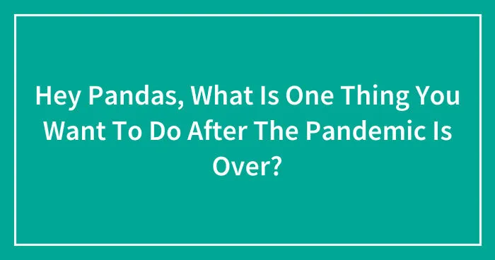 Hey Pandas, What Is One Thing You Want To Do After The Pandemic Is Over? (Closed)