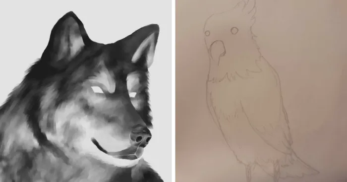 Hey Pandas, Please, Draw A Pet For Me (Closed)