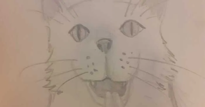 Pandas, Imagine A Made-Up Animal And Draw It