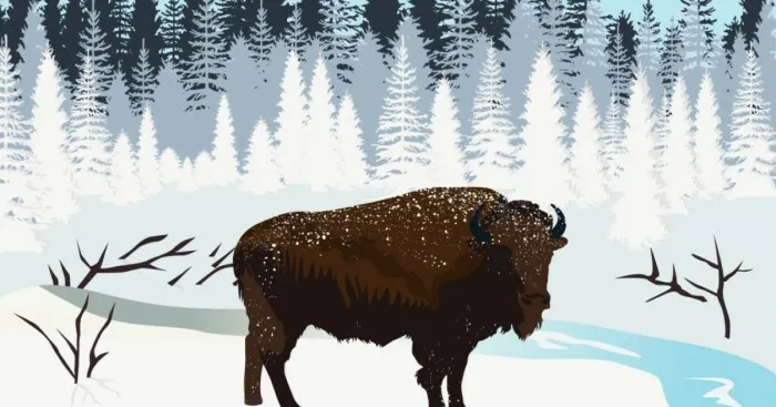 I've Spent The Last Month Illustrated Canada's Provinces Based On The Best They Have To Offer 
and Here's The Outcome