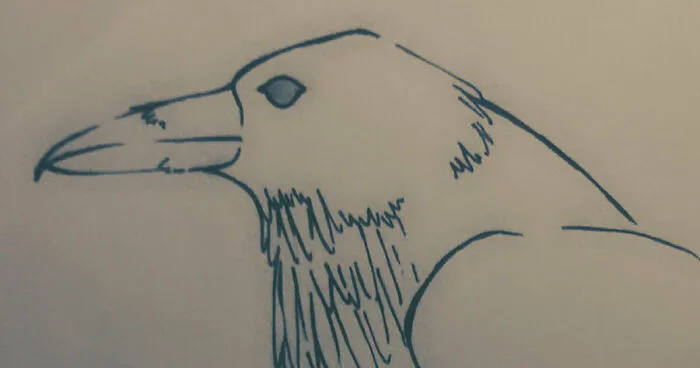 Hey Pandas, Draw A Forest Animal (Closed)