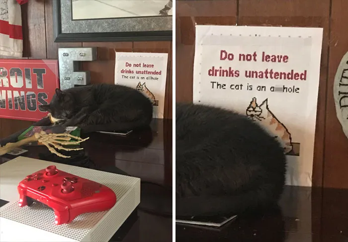 34 Times Cats Acted So Audacious That Their Owners Put Up A Sign To Warn Others About Their Ways