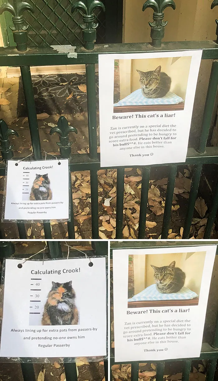 34 Times Cats Acted So Audacious That Their Owners Put Up A Sign To Warn Others About Their Ways