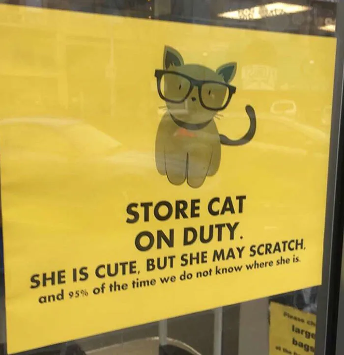 34 Times Cats Acted So Audacious That Their Owners Put Up A Sign To Warn Others About Their Ways