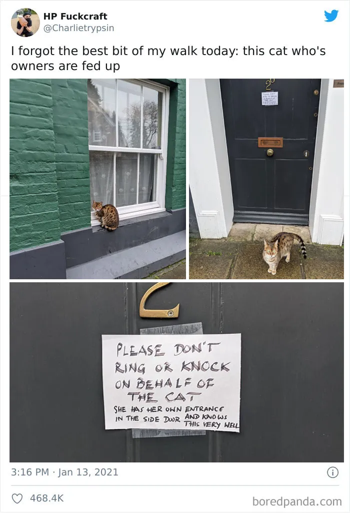 34 Times Cats Acted So Audacious That Their Owners Put Up A Sign To Warn Others About Their Ways