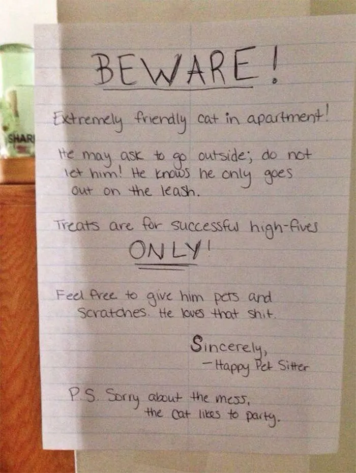34 Times Cats Acted So Audacious That Their Owners Put Up A Sign To Warn Others About Their Ways