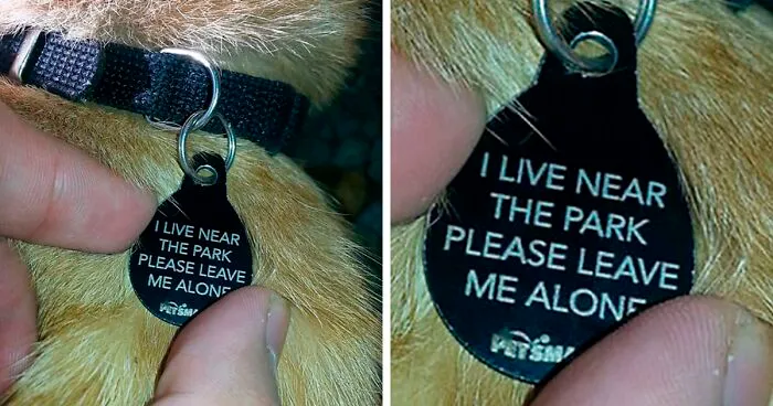 34 Times Cats Acted So Audacious That Their Owners Put Up A Sign To Warn Others About Their Ways