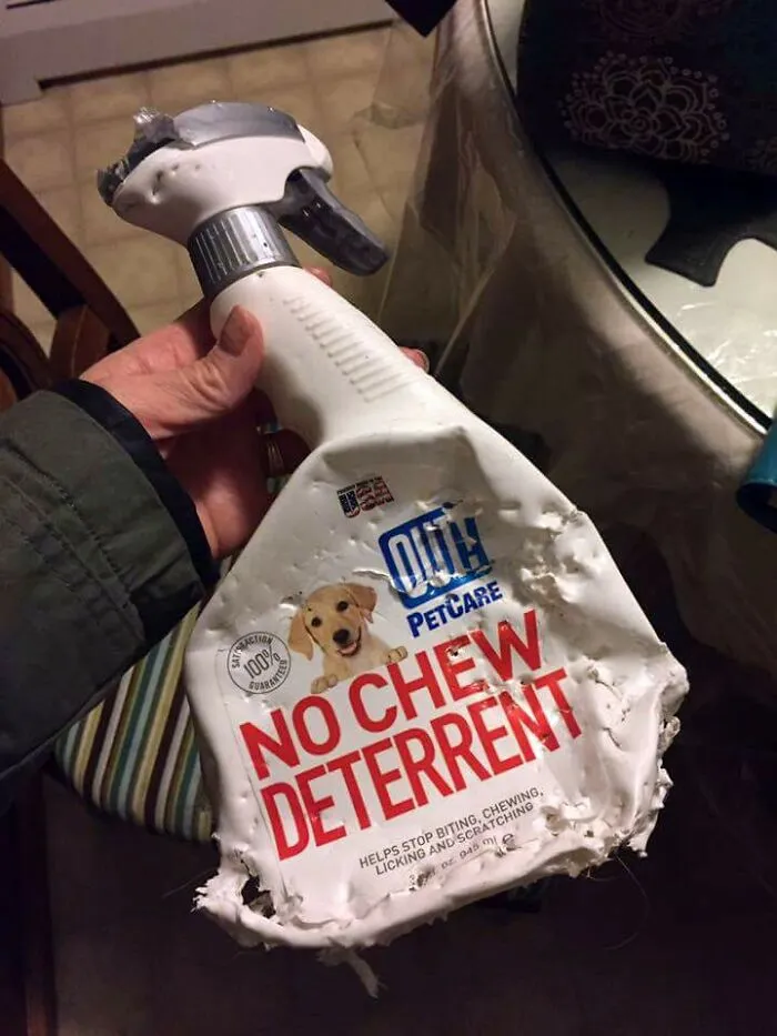 Se supone que no debía pasar esto