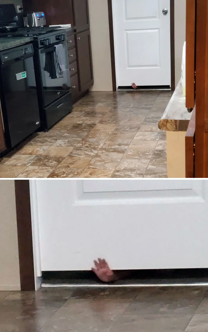 En vez de decirnos que se ha despertado de la siesta o abrir la puerta, se puso a hacer gestos con la mano por debajo de la puerta
