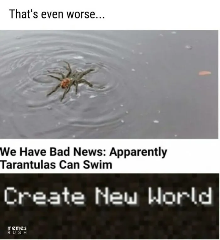 Spiders... Spiders Everywhere