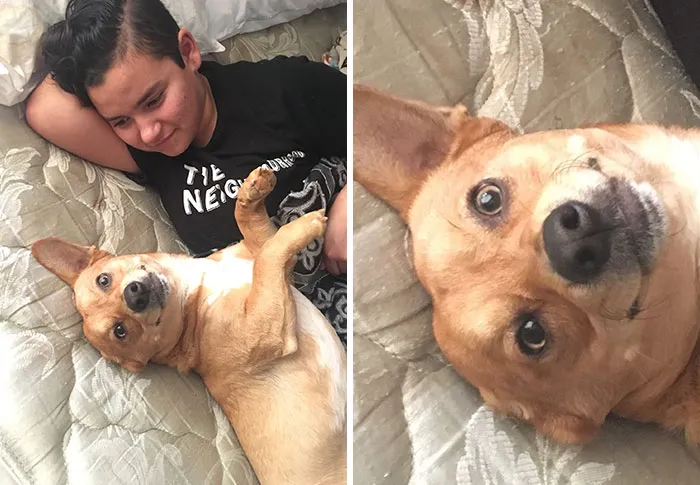 My Dog Stole My Girlfriend And He Knows It