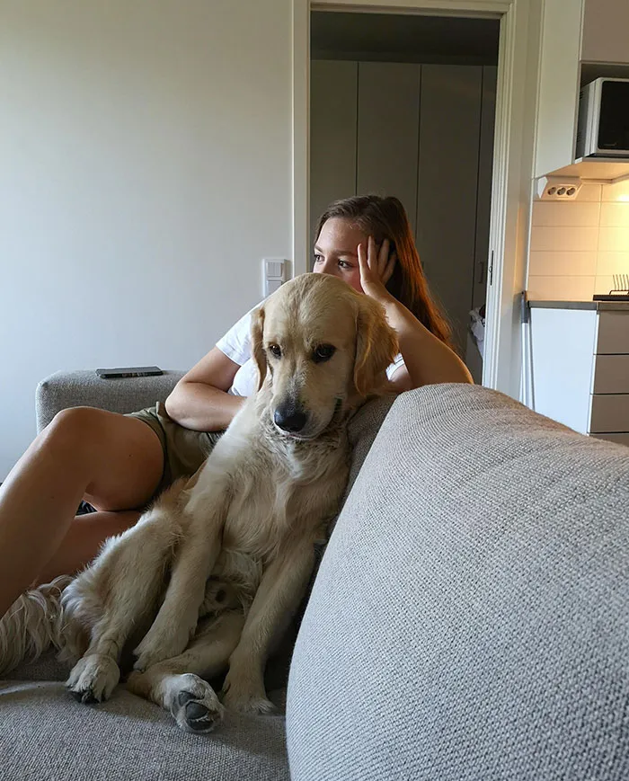 Cuando tu chico te roba a tu chica